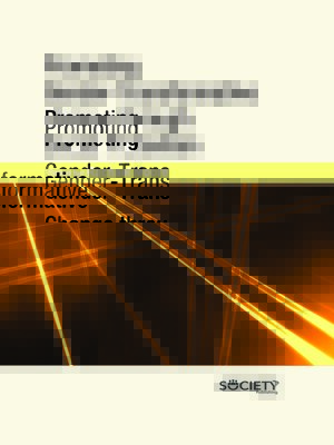 cover image of Promoting Gender-Transformative Change through Social Protection